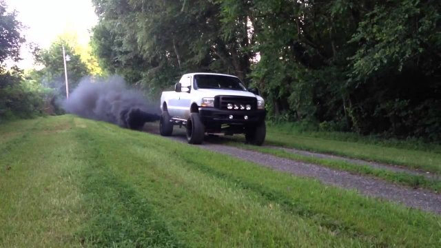 Rollin Coal nel bosco