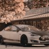 Tuning Tesla Model S